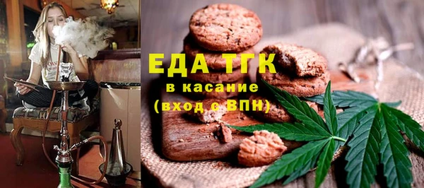 индика Богданович